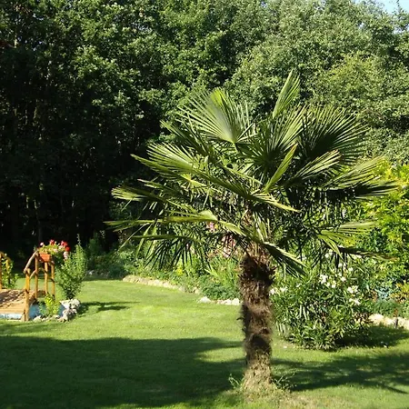 Borde Blanche 3* Puycornet